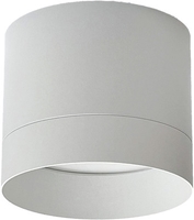 Точечный светильник TruEnergy 21025 - фото