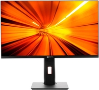 Моноблок ТЕСЛА P24BP 2108500 - фото