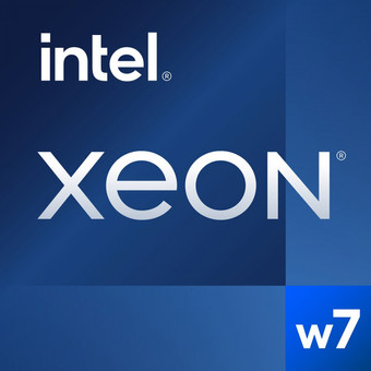 Процессор Intel Xeon w7-3455 - фото