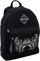 Школьный рюкзак Erich Krause EasyLine 17L Black Dog 60324 - фото