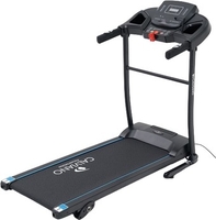 Электрическая беговая дорожка Calviano Sunny - фото