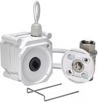 Электрический вентиль Gidrolock Ultimate 12V Tiemme 1 BS 11091013 - фото