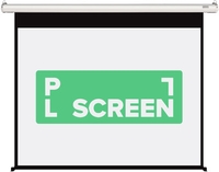 Проекционный экран PL Magna MRSM-NTSC-145D - фото