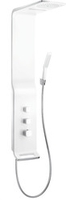 Душевая панель Hansgrohe Raindance Lift (27008400) - фото