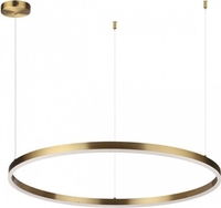 Припотолочная люстра Lumion Echo Ledio 6531/67L - фото