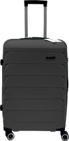 Чемодан-спиннер DoubleW YF-PP02 (M, черный) - фото