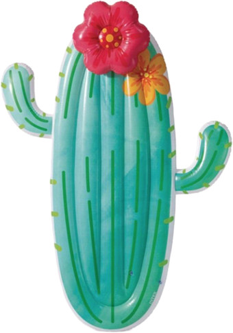 Надувной матрас Intex Кактус 58793 - фото