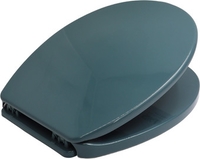 Сиденье для унитаза Bisk Iris 08472 (зеленый) - фото