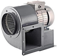 Радиальный вентилятор ERA Pro Buran 200 2K M R - фото