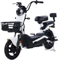 Электроскутер Shtenli Model 21 Performance - фото