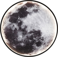 Светильник Ambrella light FW11111 BK (черный) - фото