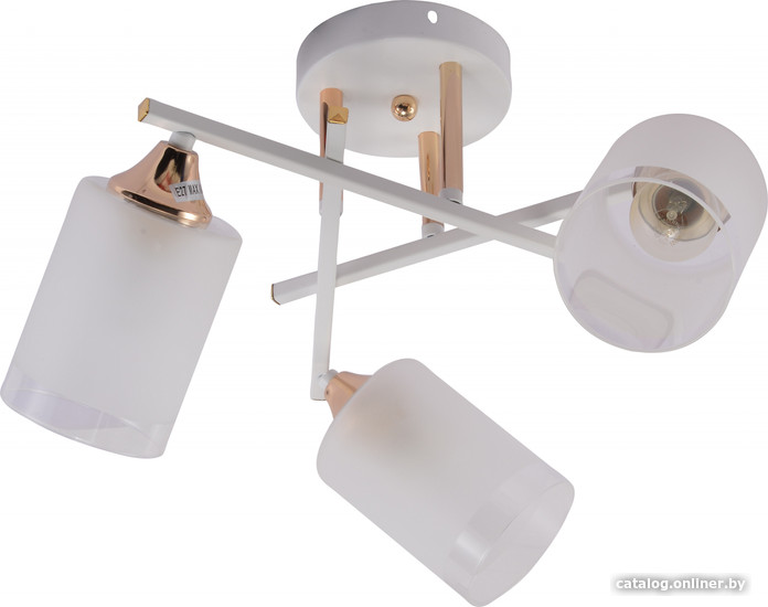 Люстра средней высоты Rivoli Tammy 3162-303 Б0059258 - фото