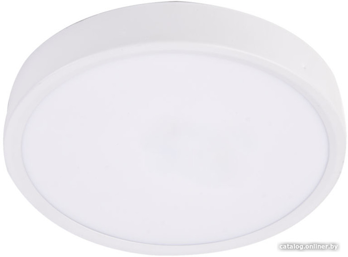 Светильник-тарелка Ultra NP 24W 4000K (РР) - фото