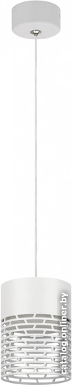 Подвесная люстра ЭРА PL29 WH Б0061374 - фото