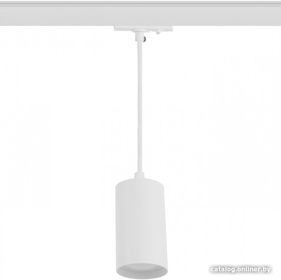 Трековый светильник ЭРА TR45-GU10 S WH Б0054181 (белый) - фото