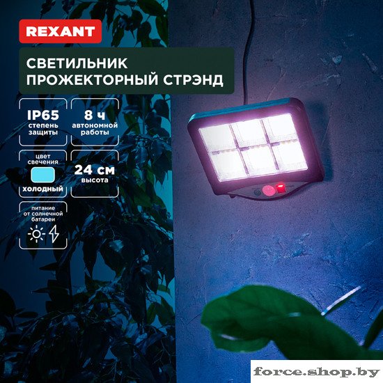 Уличный прожектор Rexant Стрэнд 602-2424 - фото