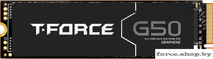 SSD Team T-Force G50 1TB TM8FFE001T0C129 - фото