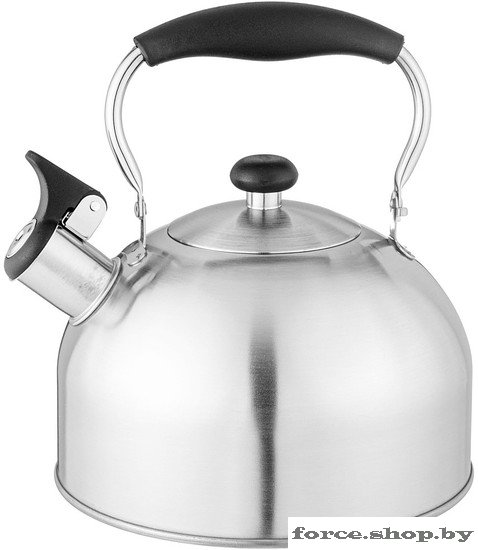 Чайник со свистком Agness 937-904 - фото