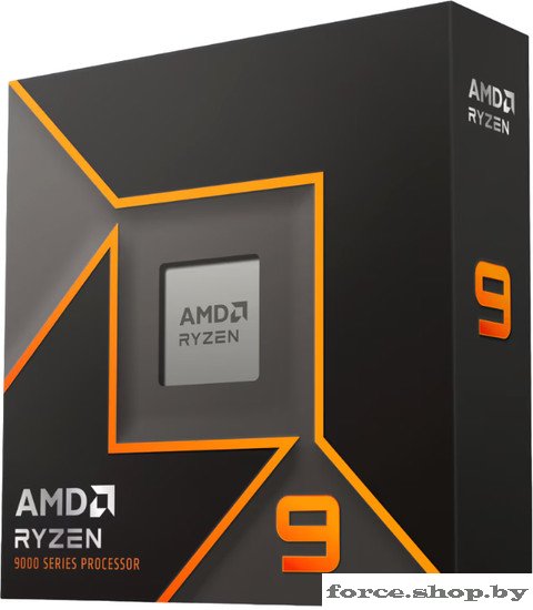 Процессор AMD Ryzen 9 9900X (WOF) - фото