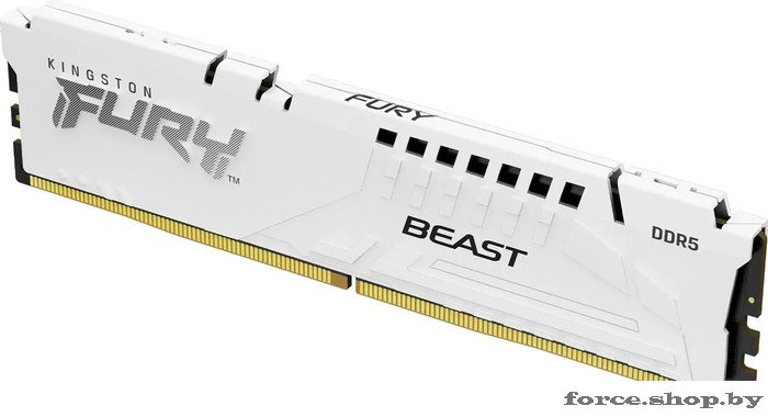 Оперативная память Kingston FURY Beast 32ГБ DDR5 5600 МГц KF556C36BWE-32 - фото