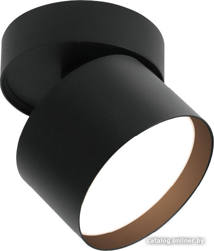 Спот Wolta WSL-GX53/02BL - фото