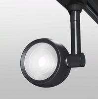 Трековый светильник Elektrostandard Oriol 12W 4200K LTB48 (черный) - фото