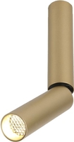 Точечный светильник Elektrostandard Pika 6W 25029/LED (золото) - фото