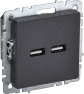 Розетка USB IEK Brite BR-U21-D31-K02 - фото