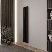 Стальной трубчатый радиатор Faberg Garminia 1/50 (4 секции, черный матовый RAL-9005) - фото