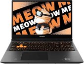 Игровой ноутбук Colorful Evol MEOW R15 A10305000029 - фото