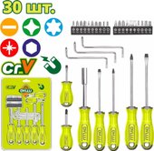 Набор отвертка с битами Dyllu DTSS1430 - фото