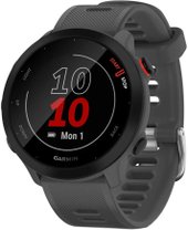 Умные часы Garmin Forerunner 55 (серый) - фото