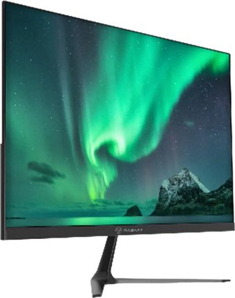 Игровой монитор Raskat I24F16D - фото