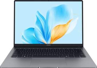 Ноутбук HONOR MagicBook X14 2025 FRG-X 5301ALXJ - фото