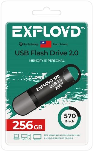 USB Flash Exployd 570 256GB (черный) - фото
