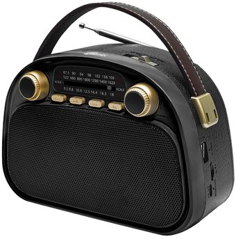 Радиоприемник Ritmix RPR-040 (черный) - фото