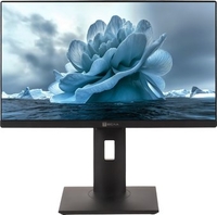 Моноблок ТЕСЛА P27BPQ 2116500 - фото