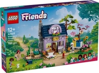 Конструктор LEGO Friends 42669 Дом пчеловода и цветник - фото