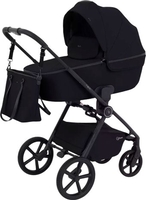 Универсальная коляска Rant Teo 2в1 RA120 (черный) - фото