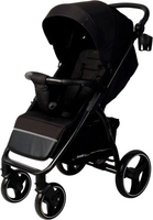 Коляска прогулочная «книга» Rant Alpine 2025 RA450 (черный) - фото