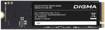 SSD Digma Mega P5 256GB DGSM3256GP53T - фото