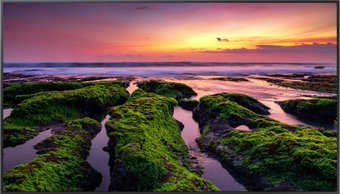 Информационная панель Samsung QB75B LH75QBBEBGCXCI - фото