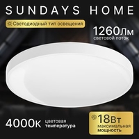 Припотолочная люстра Sundays Home 240924-10 5733 (белый) - фото
