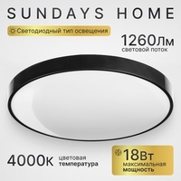 Припотолочная люстра Sundays Home 240924-14 5771 (черный) - фото