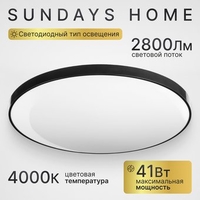 Припотолочная люстра Sundays Home 240924-16 5795 (черный) - фото