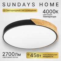 Припотолочная люстра Sundays Home 240924-18 5818 (черный/светлое дерево) - фото