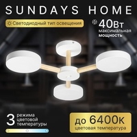 Припотолочная люстра Sundays Home 240924-22 5849 - фото