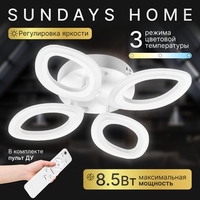 Припотолочная люстра Sundays Home 240924-24 5863 - фото