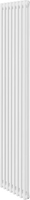 Стальной трубчатый радиатор Royal Thermo Insignia C2180 - 08 секций RAL9016 - фото