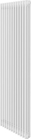 Стальной трубчатый радиатор Royal Thermo Insignia VC3180 - 12 секций RAL9016 - фото